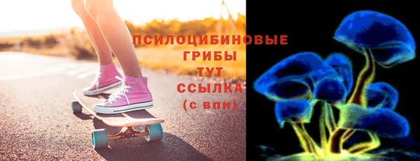 хмурый Алзамай