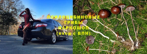 apvp Алексин
