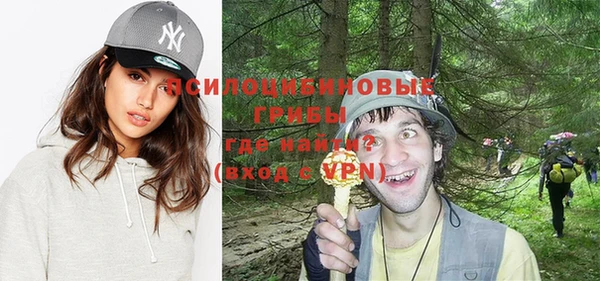 хмурый Алзамай