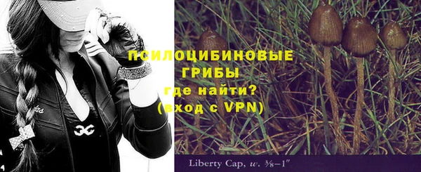 apvp Алексин