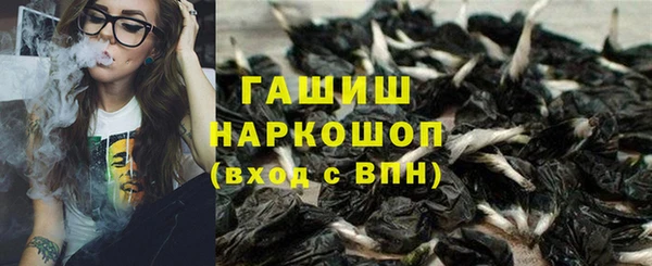 apvp Алексин