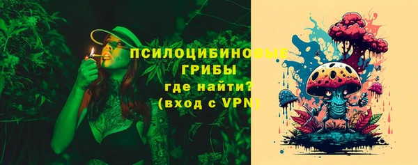 хмурый Алзамай