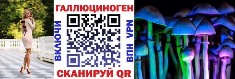где купить   MEGA ONION  Галлюциногенные грибы Cubensis  Перевоз 
